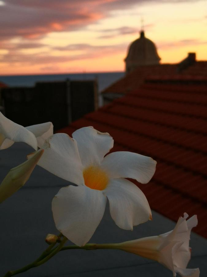 Bouquet Di Note Hotell Cervo Exteriör bild